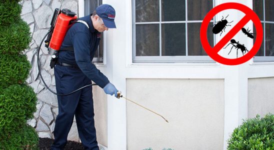 Yenipazar Kemirgen İlaçlama böcek ilaçlama ve haşere kontrolü — ilaclama-tr.com